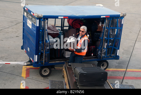 Un bagaglio carichi di gestore di una valigia su di un nastro trasportatore a Dallas Fort Worth International Airport in Texas, Stati Uniti Foto Stock