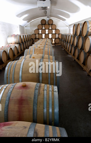 Canna cantina. Domaine Henry Pelle, Menetou Salon, Loire, Francia Foto Stock