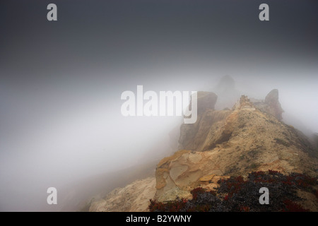 Nebbia su scogliere, la California del Nord, CALIFORNIA, STATI UNITI D'AMERICA Foto Stock