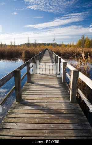 Il Boardwalk nella torbiera, Mer Bleue Area di Conservazione, Ottawa, Ontario, Canada Foto Stock