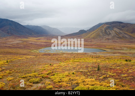 Lago nella tundra Valle, Lapide parco territoriale, Yukon, Canada Foto Stock