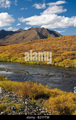 Blackstone River, Lapide parco territoriale, Yukon, Canada Foto Stock