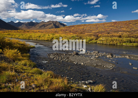Blackstone River, Lapide parco territoriale, Yukon, Canada Foto Stock