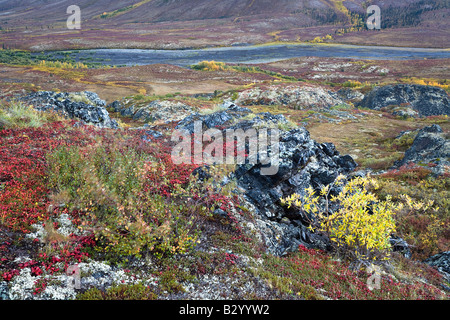 Fiume attraverso la tundra, Nord Klondike River Valley, Lapide parco territoriale, Yukon, Canada Foto Stock
