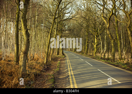 Strada di campagna, Wisley, Surrey, Inghilterra Foto Stock