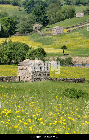 Tradizionale fienili in pietra muri in pietra a secco e prati fioriti nei pressi Gunnerside Swaledale Yorkshire Dales National Park in Inghilterra Foto Stock