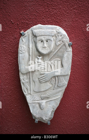 La stele incisioni sono state scoperte in Hakkari Anatolya sono visualizzati nel museo di Van Foto Stock
