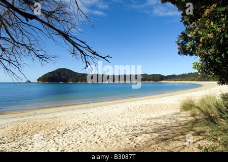 L'ancoraggio, Torrent Bay, il Parco Nazionale Abel Tasman, Nuova Zelanda Foto Stock