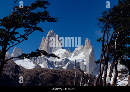 Argentina, Santa Cruz Provincia, Parque Nacional Los Glaciares, Cerro Fitzroy. Cerro Fitzroy, nel parco nazionale Los Glaciares, incorniciato da alberi. Questo picco di granito sorge a 11,073 piedi (3,375 m) sopra il livello del mare e fu scalato per la prima volta nel 1952 da Terray e Magnone. Foto Stock