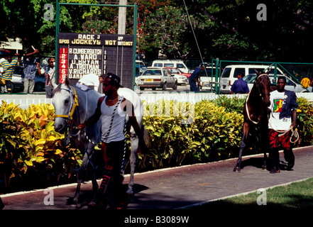 Barbados, la sfilata anello all'Garrison Savannah race course Foto Stock