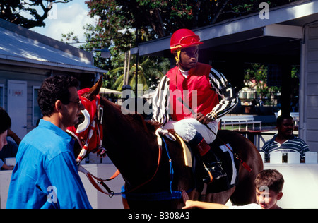 Barbados, involucro in corrispondenza del Garrison Savannah race course Foto Stock