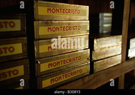 Scatole di Sigari Montecristo impilati in humidor, La Habana Viejo, Avana Vecchia Area del Patrimonio Mondiale, Cuba Foto Stock