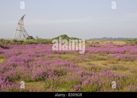 Dunwich Heath proprietà del National Trust Suffolk Foto Stock