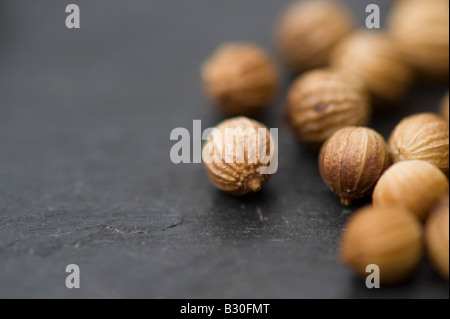 Coriandrum sativum. Semi di coriandolo in ardesia. Messa a fuoco selettiva Foto Stock