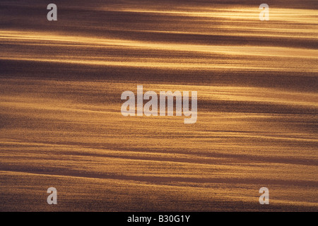 Il golden ultima luce del giorno si riflette sulle sabbie di Embleton Bay sulla costa Northumbrian, Northumberland, Inghilterra Foto Stock