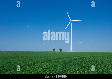 Un mulino a vento solitario in un campo di grano di generazione di elettricità nelle zone rurali del Nord Dakota USA Foto Stock