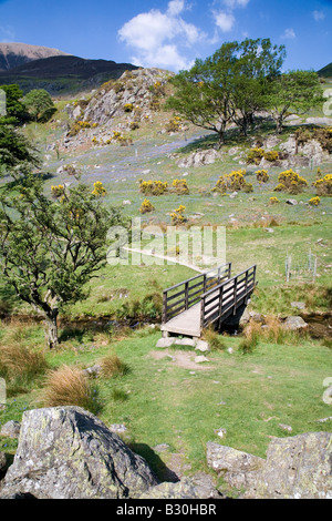 Rannerdale Valle Segreta del campo Bluebells e pascoli del Parco nazionale del Lake District Cumbria Foto Stock