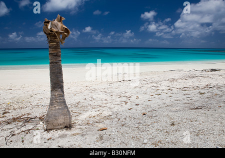 Per la zona bikini e Laguna Resort Isole Marshall Bikini Atoll Micronesia Oceano Pacifico Foto Stock