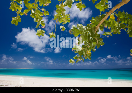 Per la zona bikini e Laguna Resort Isole Marshall Bikini Atoll Micronesia Oceano Pacifico Foto Stock