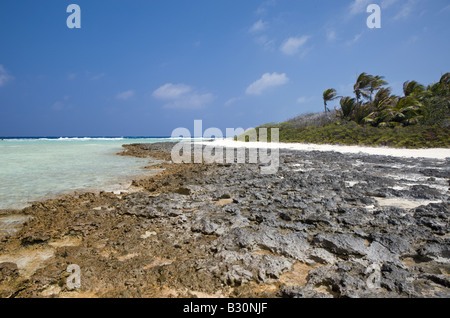 Coralbank in bikini spiaggia Isole Marshall Bikini Atoll Micronesia Oceano Pacifico Foto Stock