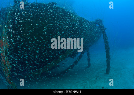 Catena di ancoraggio del bottom up la posa di USS Arkansas corazzata Isole Marshall Bikini Atoll Micronesia Oceano Pacifico Foto Stock