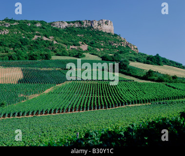 Falesia di solutré con vigneti Foto Stock
