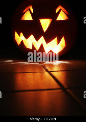 Cucurbita pepo, midollo osseo, di zucca di campo Foto Stock