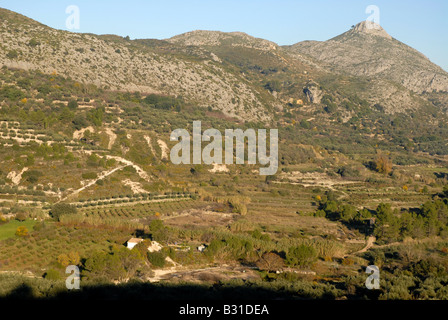 Paesaggio vicino a Vall de Ebo village, Marina Alta, Alicante Prov. Comunidad Valenciana, Spagna Foto Stock