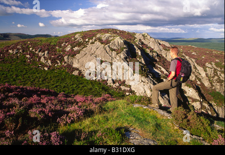 Passeggiate in Cairnsmore della natura della flotta scozzese di riserva del patrimonio naturale walker sul Clints di Dromore Galloway Scotland Regno Unito Foto Stock