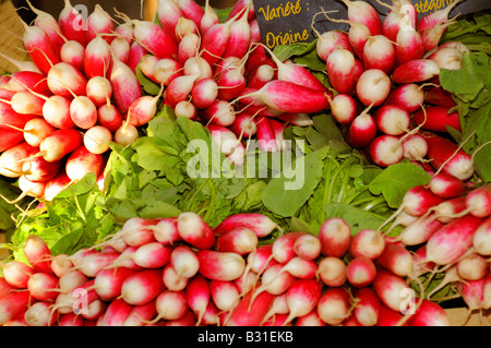 Ravanelli freschi sul mercato in stallo Foto Stock