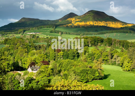 Vista delle colline Eildon da Walter Scott la vista sul fiume Tweed, Scottish Borders, Scozia Foto Stock