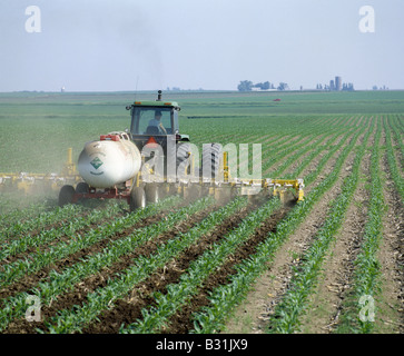 Crinale fino al coltivatore di applicare con ammoniaca anidra dal serbatoio su 12 granoturco Iowa Foto Stock