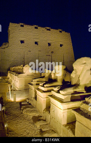 Una fila di Sphinx e il Tempio di Karnak al tramonto a Luxor Egitto Foto Stock
