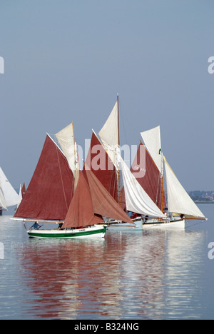 Costa est puzza di pesca Foto Stock