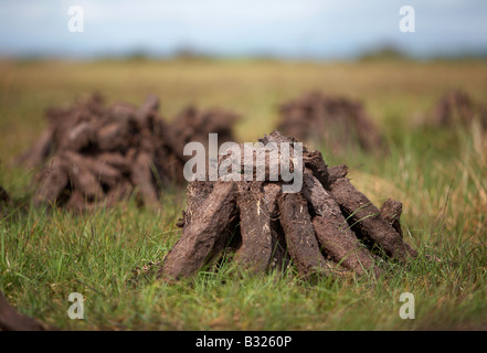 Tappeto erboso di torba combustibile tagliato già accumulato in pile di essiccamento ad aria sul bagnato Bog nella contea di Sligo, Repubblica di Irlanda Foto Stock