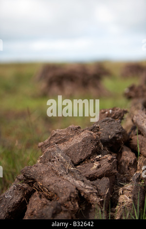 Tappeto erboso di torba combustibile tagliato già accumulato in pile di essiccamento ad aria sul bagnato Bog nella contea di Sligo, Repubblica di Irlanda Foto Stock
