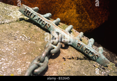 La scultura di innesto della scena da Matt Baker a Cairnsmore flotta di Riserva Naturale Galloway Scotland Regno Unito Foto Stock