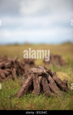 Tappeto erboso di torba combustibile tagliato già accumulato in pile di essiccamento ad aria sul bagnato Bog nella contea di Sligo, Repubblica di Irlanda Foto Stock