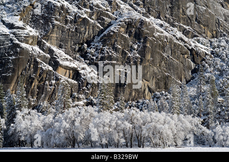 Una notte di tempesta dà modo di una chiara mattina rivelando di Yosemite meraviglie invernali lungo il lato nord del Awahnee Meado Foto Stock