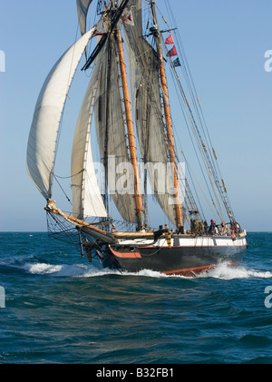 Veliero su al largo della costa della California del Sud Foto Stock