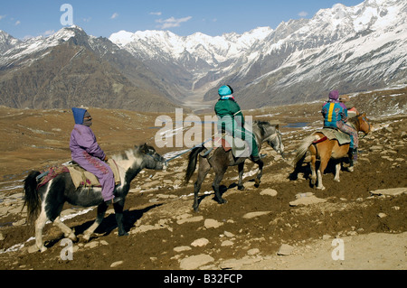 Horse trekking a Rohtang-La in Himachal Pradesh, India del Nord Foto Stock
