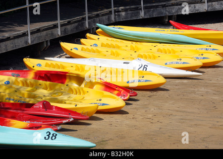 Vivacemente colorato kayak lungo la spiaggia Foto Stock