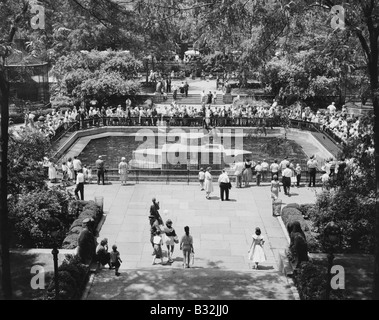 La guarnizione di tenuta piscina presso il Central Park Zoo di New York, NY Foto Stock