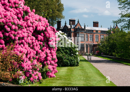 Rhododendrans lungo il Furlong a piedi, Arley Hall & Gardens, Cheshire, Inghilterra, Regno Unito Foto Stock