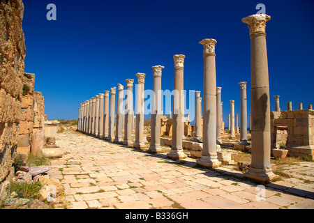 Colonne antiche, Leptis Magna Libia, Nord Africa Foto Stock