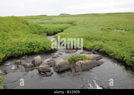 L'Anse aux Meadows, Terranova sulla penisola settentrionale dove i vichinghi stabilirono intorno A. D. 1000. Foto Stock