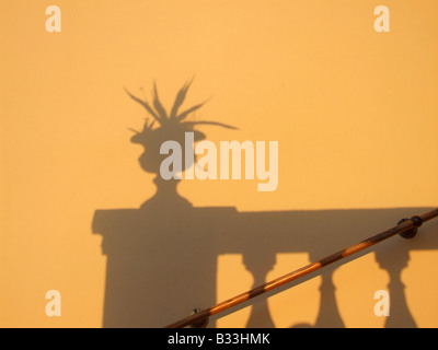 Impianto pot cactus ombra sul muro di casa in Grecia Foto Stock