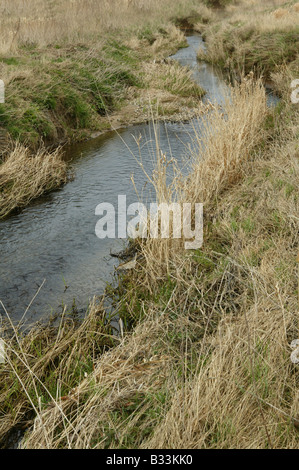 Piccolo fiume passando attraverso pascoli rurali campagna Foto Stock