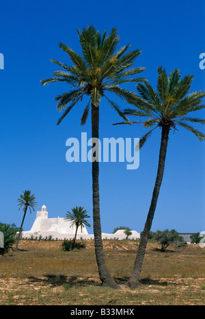 Moschea in Fadhloun Isola di Gerba Tunisia Foto Stock