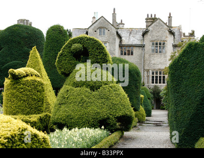 Topiaria da a Levens Hall, Cumbria, nel distretto del lago, UK. Foto Stock